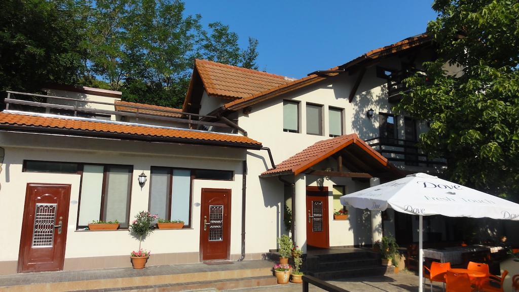 Vila Europa Sărata-Monteoru Zewnętrze zdjęcie